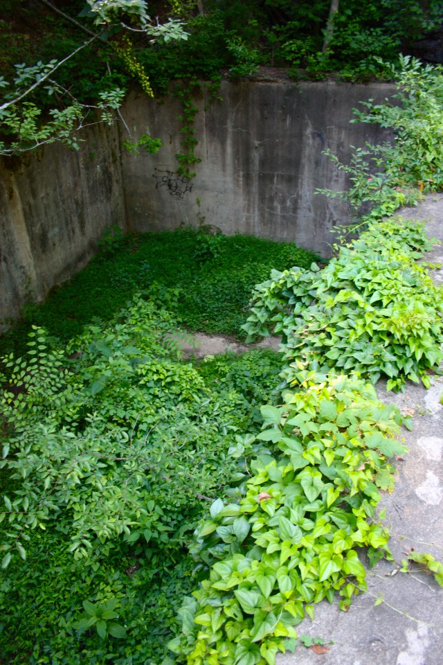 Overgrown Power House Ruins