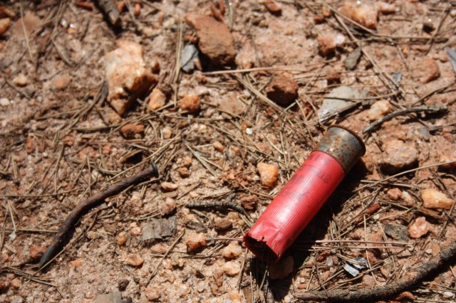 Shotgun Shell on Big Island, Lake Hartwell