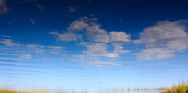 Mirrored Lofton Creek