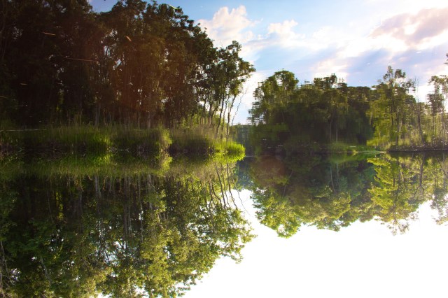 Lofton Creek Black Water Mirror