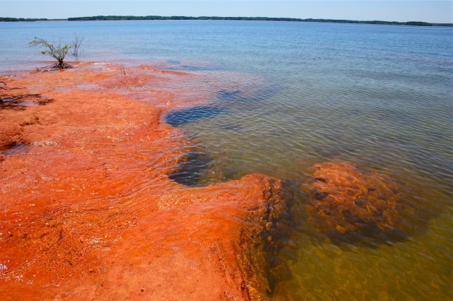 South Carolina Shore On Lake Hartwell