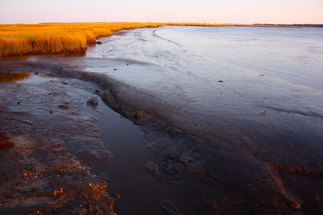 Low Tide at Dusk