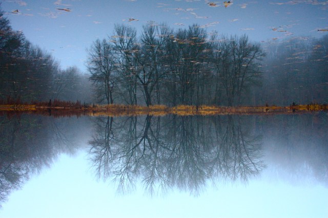 Claypit Pond Mirror
