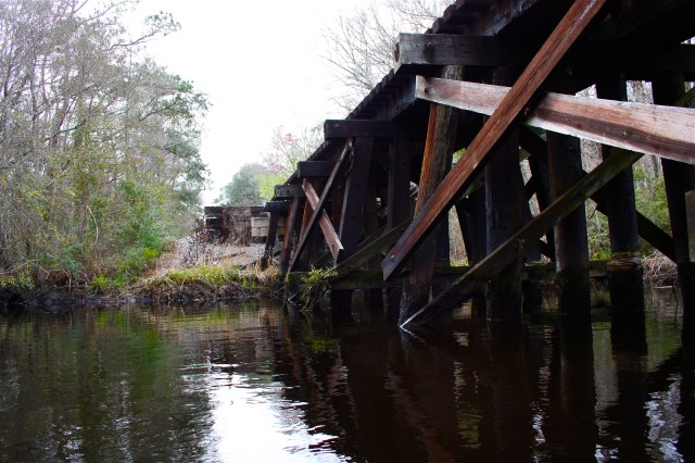 Blounts Branch Trellis Lofton Creek