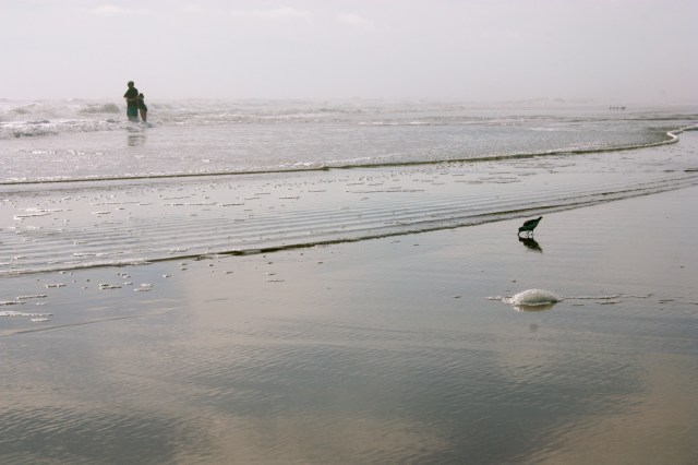 Hugs, Love and Lunch