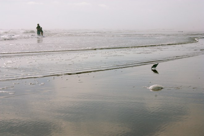 Hugs, Love and Lunch