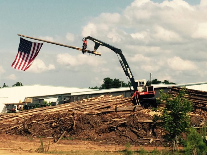Nationalistic Deforestation