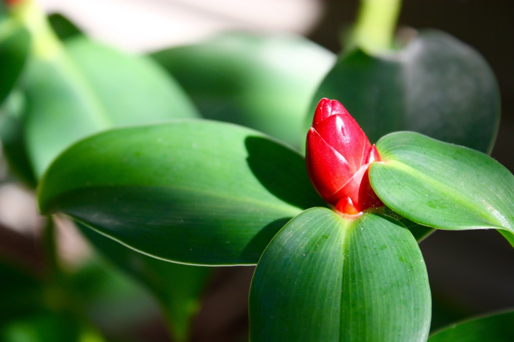 This image has an empty alt attribute; its file name is img_8666.jpg