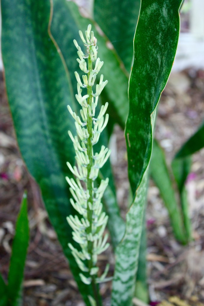 This image has an empty alt attribute; its file name is img_8668-1.jpg