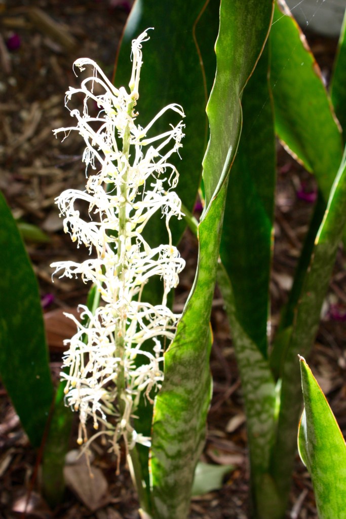 This image has an empty alt attribute; its file name is img_8804.jpg